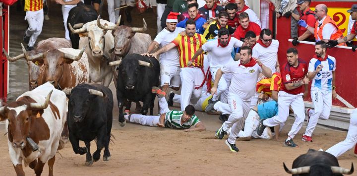 Un participante cae al suelo al entrar los toros de la raza La Palmosilla en la plaza durante el séptimo encierro de San Fermín en Pamplona, norte de España.