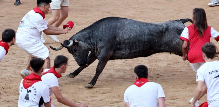 Un participante retrocede frente a una vaca joven en la plaza de toros tras el octavo encierro de San Fermín en Pamplona, norte de España. Miles de personas asisten cada año a las fiestas de una semana de duración y a sus famosos encierros, todos los días a las 8:00 hs por las estrechas calles del casco antiguo a lo largo de un recorrido de 850 metros, mientras los corredores que los preceden intentan mantenerse cerca de los toros sin caerse ni ser corneados.