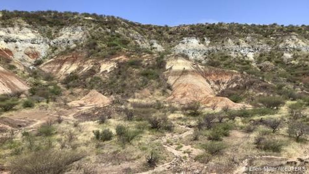 Impactante hallazgo: encuentran proteína en dientes fósiles.