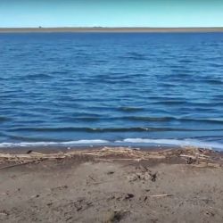 La Pantanosa es una de las opciones que tiene el pescador en Adolfo Alsina. Se ubica pasando la localidad de Rivera y muy cerquita de Colonia Lapin, paraje que queda a pocos metros de la laguna.