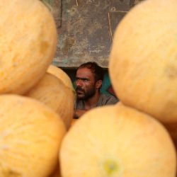 Un hombre vende melones en un mercado local, en Kabul, Afganistán. El melón es una de las frutas más famosas y ampliamente exportadas de Afganistán, cultivadas en varias provincias del país. El clima cálido y seco de Afganistán brinda las condiciones ideales para cosechar melones fragantes y dulces. | Foto:Xinhua/Saifurahman Safi