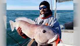 1507_pesca