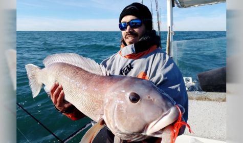1507_pesca