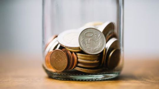Las tres plantas que atraen el dinero y estabilidad financiera, según el Feng Shui