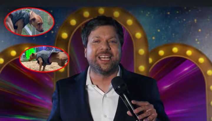 Guido Kaczka enfrentó las críticas tras el estreno de su nuevo programa en El Trece: "Me hago cargo del juego con los perros"