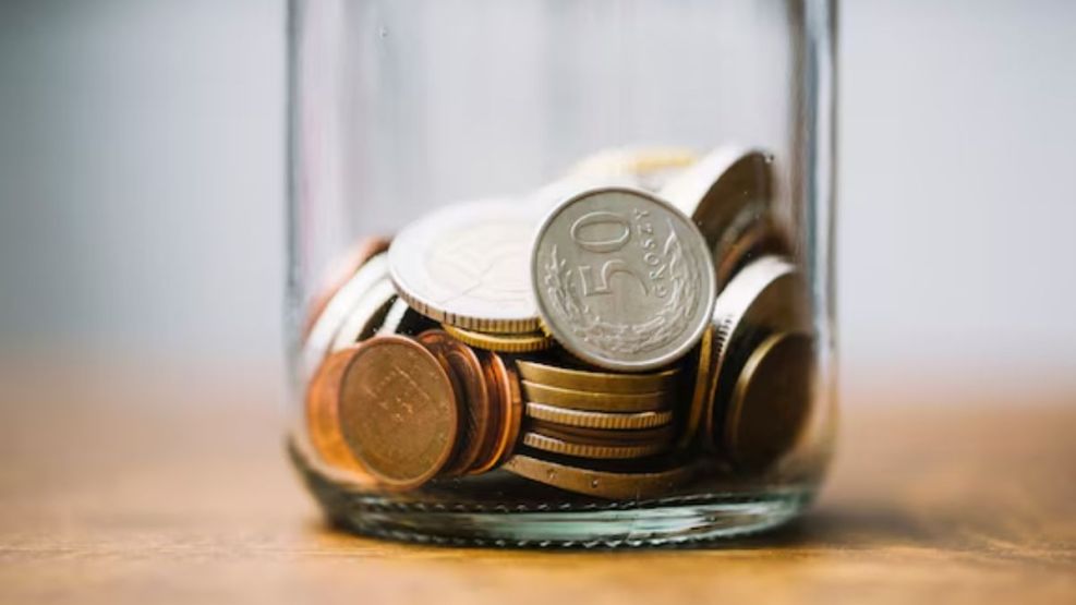 Las tres plantas que ayudan a atraer dinero en el hogar, según el Feng Shui