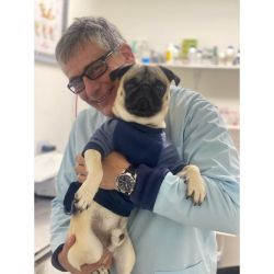 ¿Qué podemos decir de la Rabia Humana? | Foto:CEDOC