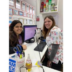 ¿Qué podemos decir de la Rabia Humana? | Foto:CEDOC