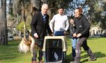 Liberan a 8 aves silvestres tras ser rehabilitadas en el Bioparque de La Plata