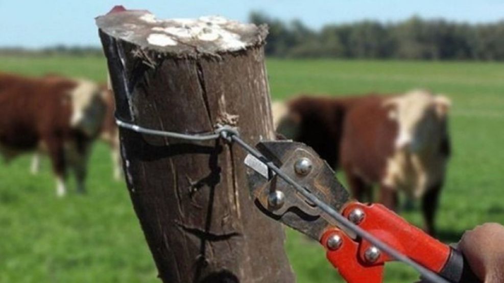 abigeato en Corrientes