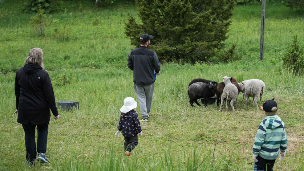 Ser pastor por una semana 16072025