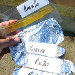 El Club de Pescadores Olivos es una de las instituciones más emblemáticas del país. 