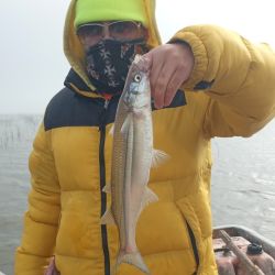 Antes que aparezcan las tormentas, buena pesca en gran parte de los pesqueros del país. Promesa de pique intenso para los próximos días. 
