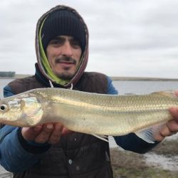 Antes que aparezcan las tormentas, buena pesca en gran parte de los pesqueros del país. Promesa de pique intenso para los próximos días. 