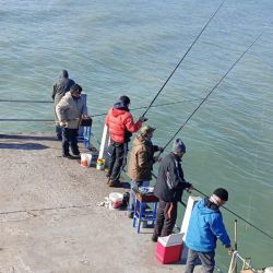 Antes que aparezcan las tormentas, buena pesca en gran parte de los pesqueros del país. Promesa de pique intenso para los próximos días. 