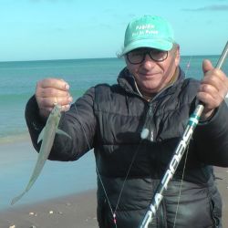 Antes que aparezcan las tormentas, buena pesca en gran parte de los pesqueros del país. Promesa de pique intenso para los próximos días. 