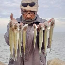 Antes que aparezcan las tormentas, buena pesca en gran parte de los pesqueros del país. Promesa de pique intenso para los próximos días. 