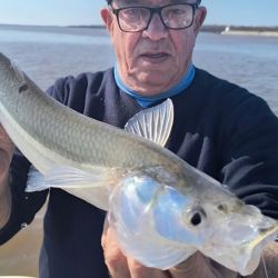 Antes que aparezcan las tormentas, buena pesca en gran parte de los pesqueros del país. Promesa de pique intenso para los próximos días. 