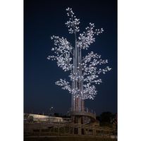 Arquitectura y Naturaleza: Los beneficios de una arquitectura basada en la excelencia y la sustentabilidad