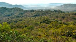ruta-reserva-natural-de-la-defensa-la-calera