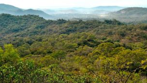 ruta-reserva-natural-de-la-defensa-la-calera