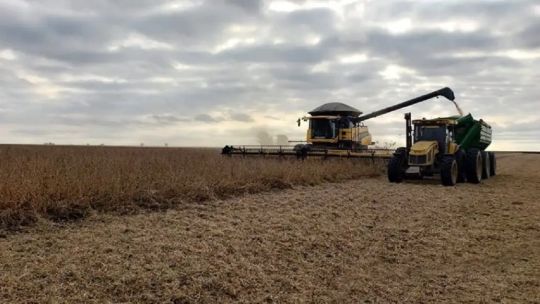 Falta de rentabilidad en el agro: “Cada vez somos menos productores los que quedamos en la carrera”