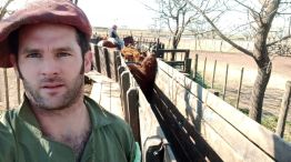 Productor en el campo