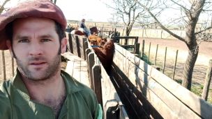 Productor en el campo