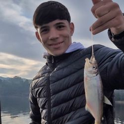 La actividad de pesca es muy entretenida, ya que los bagres y dientudos están muy activos dando batalla constante a los aparejos como carnadas. Al pejerrey costó encontrarlo en esta ocasión.