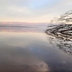 La actividad de pesca es muy entretenida, ya que los bagres y dientudos están muy activos dando batalla constante a los aparejos como carnadas. Al pejerrey costó encontrarlo en esta ocasión.