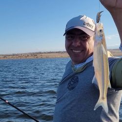La actividad de pesca es muy entretenida, ya que los bagres y dientudos están muy activos dando batalla constante a los aparejos como carnadas. Al pejerrey costó encontrarlo en esta ocasión.
