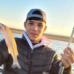 La actividad de pesca es muy entretenida, ya que los bagres y dientudos están muy activos dando batalla constante a los aparejos como carnadas. Al pejerrey costó encontrarlo en esta ocasión.