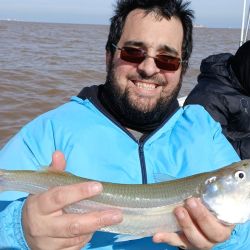 Mientras que el agua salada nos brinda múltiples alternativas tanto adentrados en el océano como pescando en playas o muelles, en las lagunas disponemos del último mes de la temporada del pejerrey, especie que desde septiembre entra en veda en parte del país a partir de septiembre.