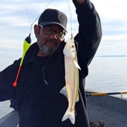 Mientras que el agua salada nos brinda múltiples alternativas tanto adentrados en el océano como pescando en playas o muelles, en las lagunas disponemos del último mes de la temporada del pejerrey, especie que desde septiembre entra en veda en parte del país a partir de septiembre.