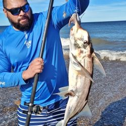 Mientras que el agua salada nos brinda múltiples alternativas tanto adentrados en el océano como pescando en playas o muelles, en las lagunas disponemos del último mes de la temporada del pejerrey, especie que desde septiembre entra en veda en parte del país a partir de septiembre.