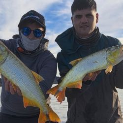 Mientras que el agua salada nos brinda múltiples alternativas tanto adentrados en el océano como pescando en playas o muelles, en las lagunas disponemos del último mes de la temporada del pejerrey, especie que desde septiembre entra en veda en parte del país a partir de septiembre.
