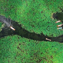 Imagen tomada con un dron de turistas tomando botes en el área escénica de Puzhehei, en el distrito de Qiubei, en la provincia de Yunnan, en el suroeste de China. El hermoso paisaje de Puzhehei, junto con sus ricas instalaciones recreativas, ha atraído a numerosos visitantes durante el verano. | Foto:Xinhua/Peng Yikai