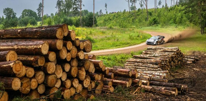 El sueco Oliver Solberg y su copiloto británico Elliott Edmondson compiten con su Toyota Yaris Rally1 durante la etapa Hellenurme del Rally de Estonia, octava prueba del Campeonato Mundial de Rallyes de la FIA, cerca de Otepaa, Estonia.