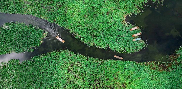 Imagen tomada con un dron de turistas tomando botes en el área escénica de Puzhehei, en el distrito de Qiubei, en la provincia de Yunnan, en el suroeste de China. El hermoso paisaje de Puzhehei, junto con sus ricas instalaciones recreativas, ha atraído a numerosos visitantes durante el verano.