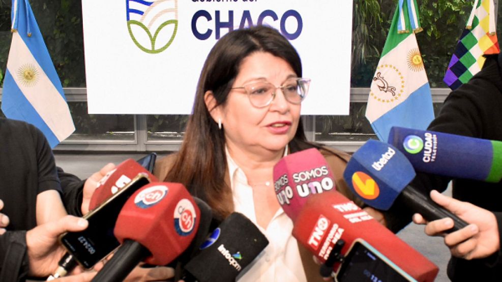Ana Mitoire, presidente de Iprodich.