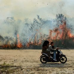 Personas en moto pasan junto a un incendio forestal en Karya Indah, provincia de Riau, Indonesia. | Foto:Wahyudi / AFP