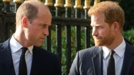 Príncipes Harry y William