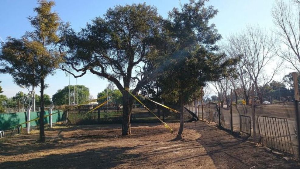 22-07-2025 Quebracho de Villa Allende