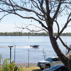 Las corridas firmes y las llevadas violentas que identifican a nuestro pez nacional estuvieron presentes mostrando la buena salud y calidad de peces que se encuentran activos en el sector norte de la provincia de Entre Ríos. 