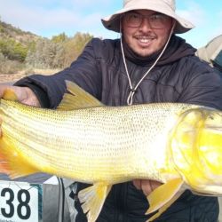 Las corridas firmes y las llevadas violentas que identifican a nuestro pez nacional estuvieron presentes mostrando la buena salud y calidad de peces que se encuentran activos en el sector norte de la provincia de Entre Ríos. 
