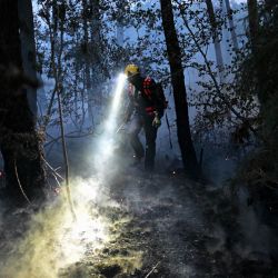Un bombero trabaja para extinguir un incendio mientras se elevan columnas de humo en el bosque de Brocéliande, en Tréhorenteuc, oeste de Francia. | Foto:Damien Meyer / AFP