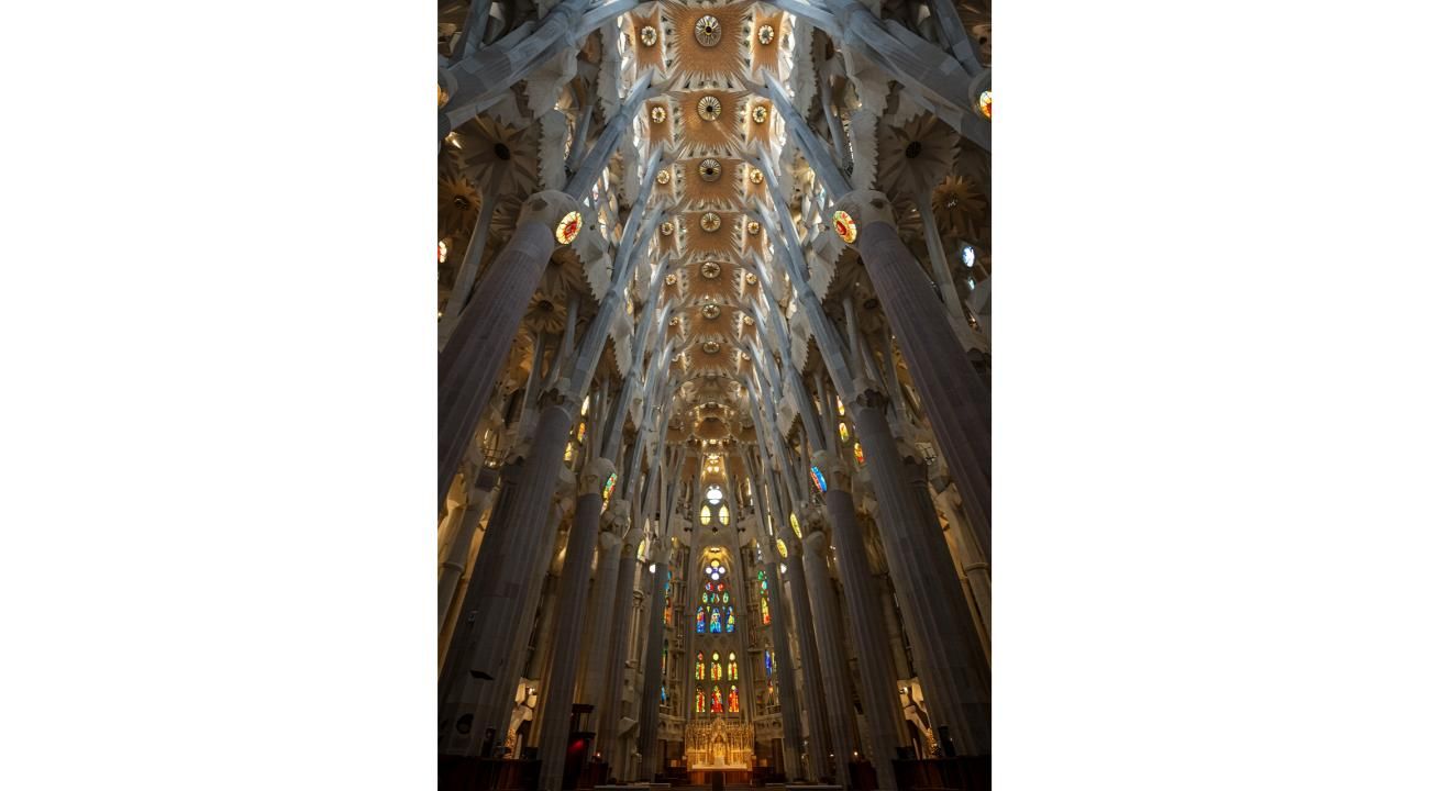 La olvidada geometría, el arte de ver el mundo que expulsamos del aula