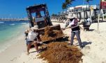El sargazo arruina vacaciones: destinos para escaparle a las algas