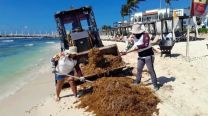 El sargazo arruina vacaciones: destinos para escaparle a las algas