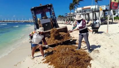 Mientras Cancún y Tulum están en alerta, destinos como Aruba se consolidan por sus playas sin sargazo, conquistando a miles de turistas argentinos cada año.